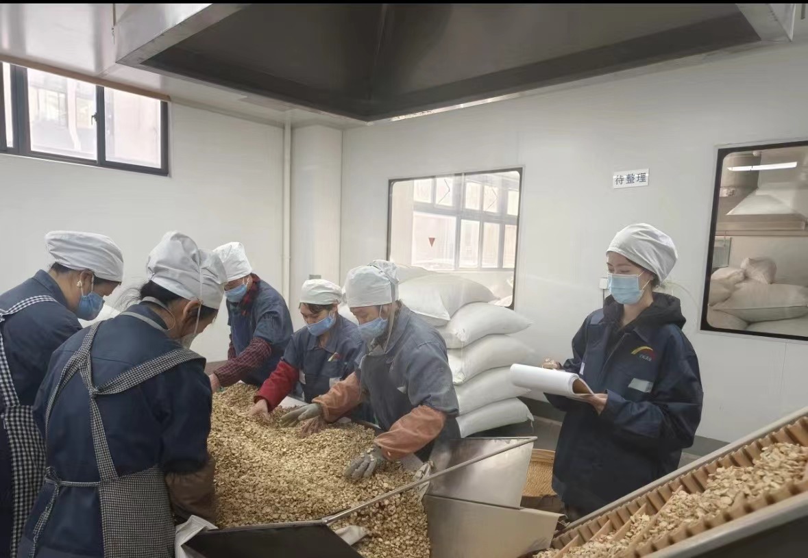 Η Qingdao Biohoer Biotech Co., Ltd. έχει αρχίσει επίσημα την κατασκευή