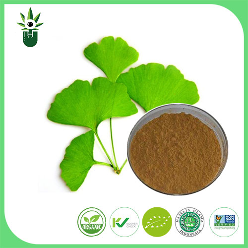 Εκχύλισμα Ginkgo Biloba